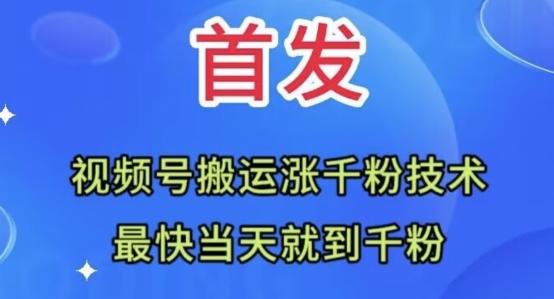 全网首发：视频号无脑搬运涨千粉技术，最快当天到千粉【揭秘】-铜臭网