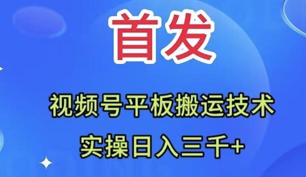 全网首发：视频号平板搬运技术，实操日入三千＋-铜臭网