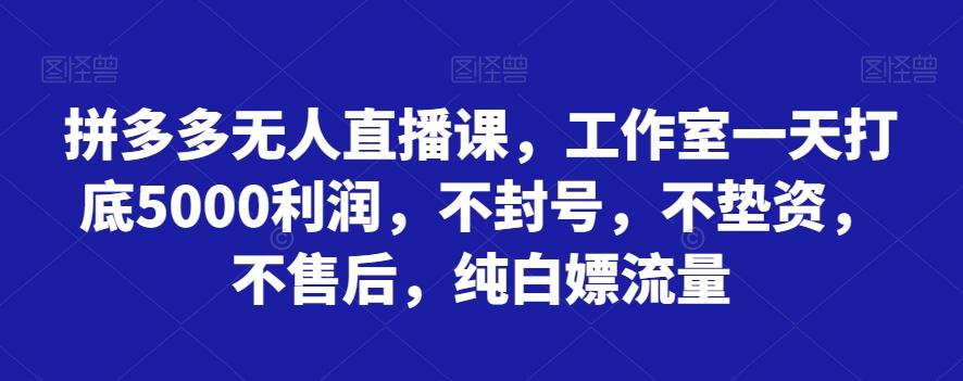 拼多多无人直播课，工作室一天打底5000利润，不封号，不垫资，不售后，纯白嫖流量-铜臭网