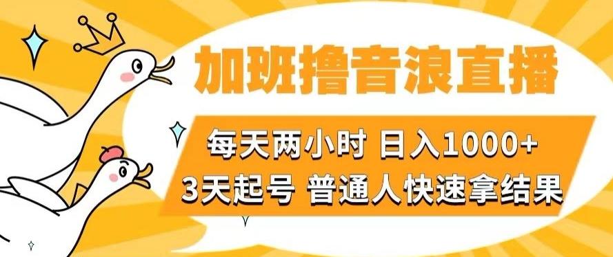 加班撸音浪直播，每天两小时，日入1000+，直播话术才3句，3天起号，普通人快速拿结果【揭秘】-铜臭网