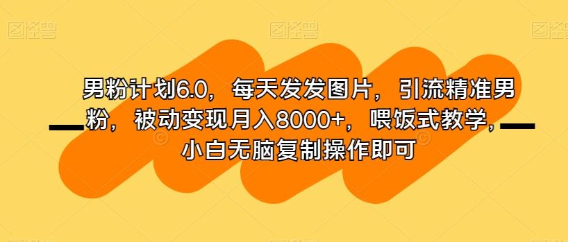 男粉计划6.0，每天发发图片，引流精准男粉，被动变现月入8000+，喂饭式教学，小白无脑复制操作即可-铜臭网