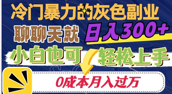 冷门暴利的副业项目，聊聊天就能日入300+，0成本月入过万【揭秘】-铜臭网