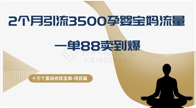 十万个富翁修炼宝典之13.2个月引流3500孕婴宝妈流量，一单88卖到爆-铜臭网