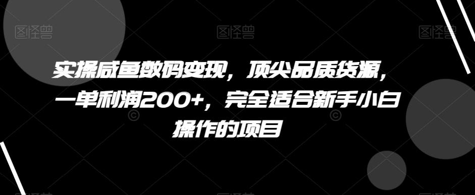 实操咸鱼数码变现，顶尖品质货源，一单利润200+，完全适合新手小白操作的项目【揭秘】-铜臭网