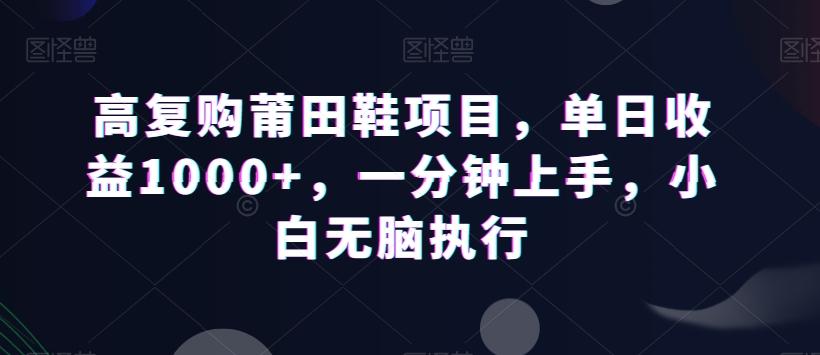 高复购莆田鞋项目，单日收益1000+，一分钟上手，小白无脑执行-铜臭网