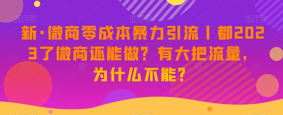 新·微商零成本暴力引流丨都2023了微商还能做？有大把流量，为什么不能？-铜臭网