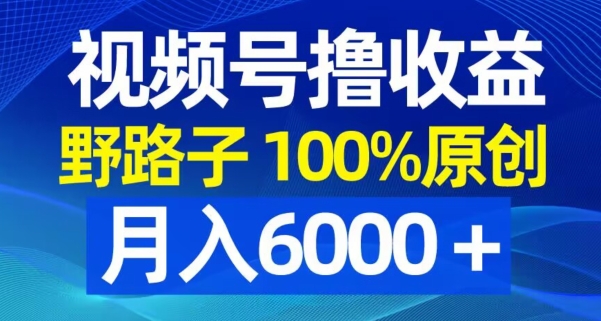 视频号野路子撸收益，100%原创，条条爆款，月入6000＋【揭秘】-铜臭网