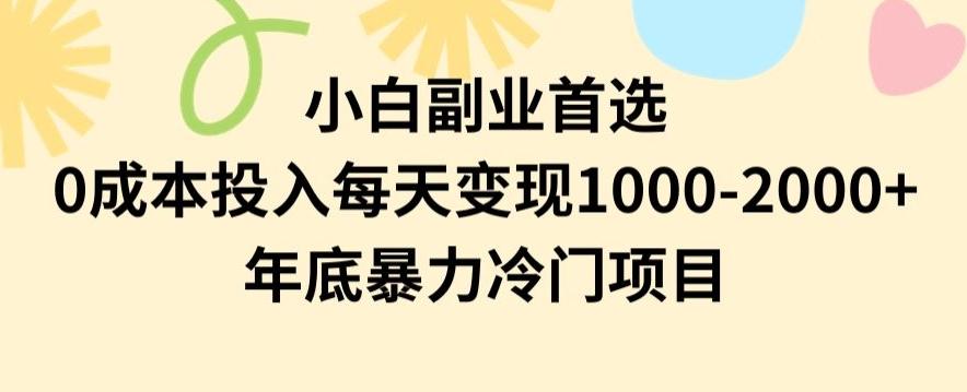 小白副业首选，0成本投入，每天变现1000-2000年底暴力冷门项目【揭秘】-铜臭网