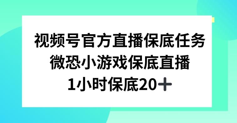 视频号直播任务，微恐小游戏，1小时20+【揭秘】-铜臭网