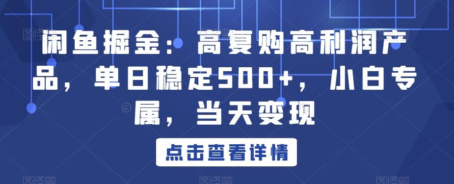 闲鱼掘金：高复购高利润产品，单日稳定500+，小白专属，当天变现-铜臭网