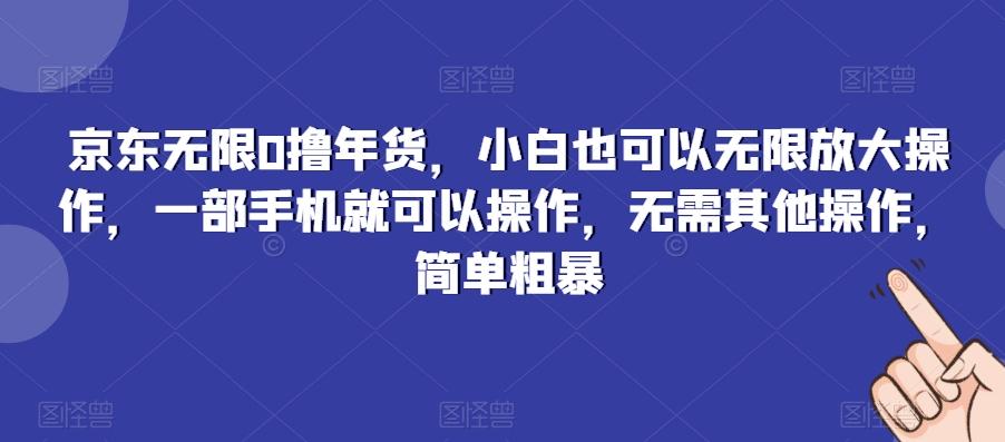 京东无限0撸年货，小白也可以无限放大操作，一部手机就可以操作，无需其他操作，简单粗暴-铜臭网