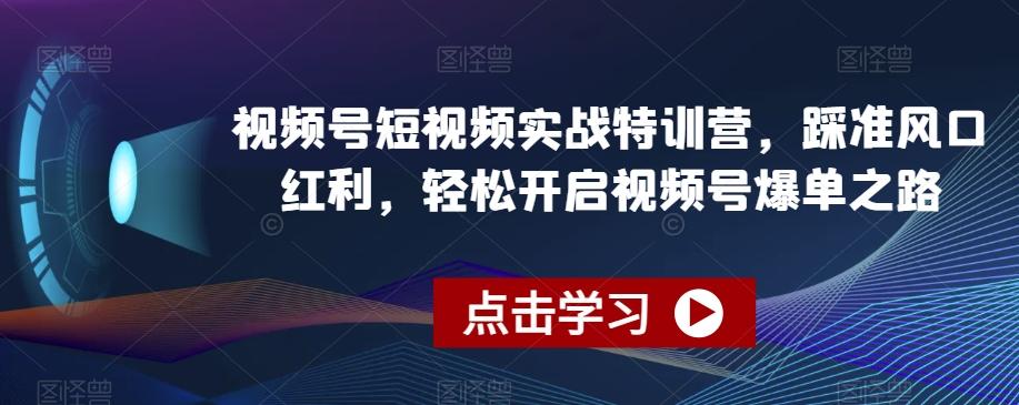 视频号短视频实战特训营，踩准风口红利，轻松开启视频号爆单之路-铜臭网