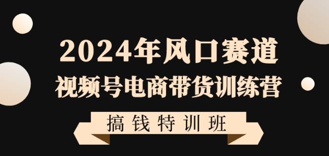 2024年风口赛道视频号电商带货训练营搞钱特训班，带领大家快速入局自媒体电商带货-铜臭网