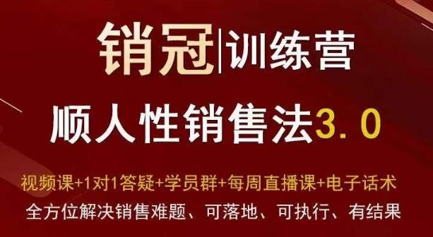爆款！销冠训练营3.0之顺人性销售法，全方位解决销售难题、可落地、可执行、有结果-铜臭网