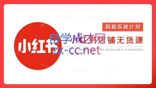 安琪·小红书店铺无货源-铜臭网