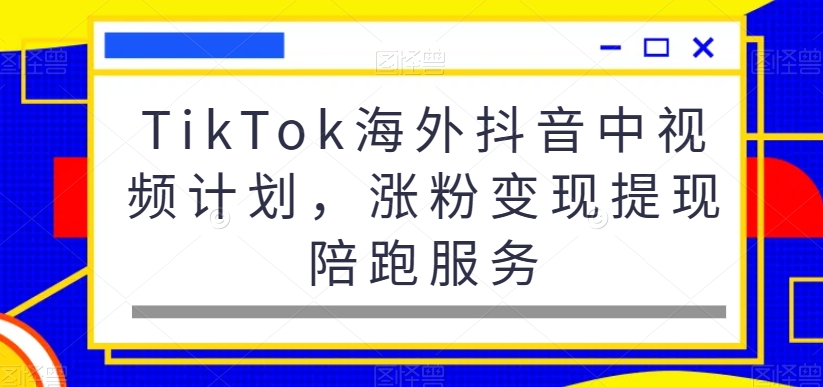 TikTok海外抖音中视频计划，涨粉变现提现陪跑服务-铜臭网