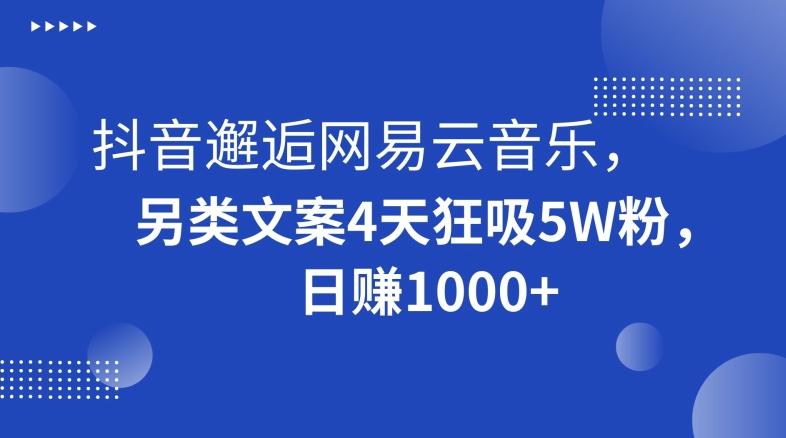 抖音邂逅网易云音乐，另类文案4天狂吸5W粉，日赚1000+【揭秘】-铜臭网