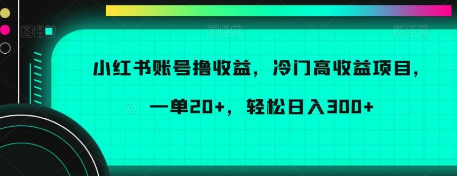 小红书账号撸收益，冷门高收益项目，一单20+，轻松日入300+【揭秘】-铜臭网