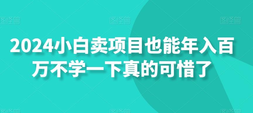 2024小白卖项目也能年入百万不学一下真的可惜了-铜臭网