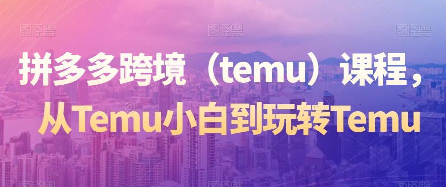 拼多多跨境（temu）课程，从Temu小白到玩转Temu-铜臭网