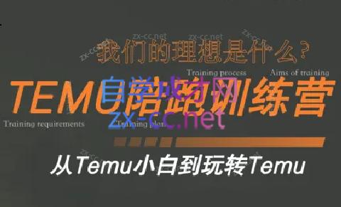 苗苗·拼多多跨境（temu）课程-铜臭网
