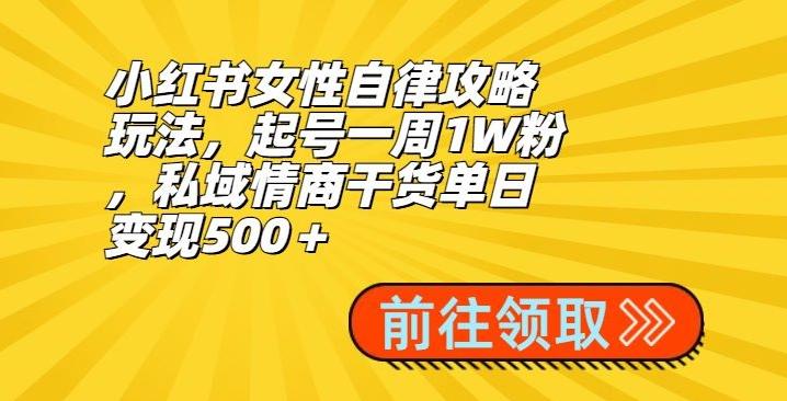 小红书女性自律攻略玩法，起号一周1W粉，私域情商干货单日变现500＋-铜臭网