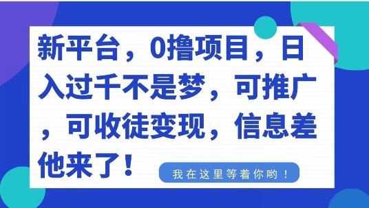 不要再花冤枉钱了，0撸项目，每天坚持，稳定1000+-铜臭网