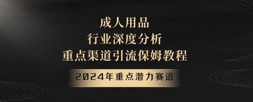 2024年重点潜力赛道，成人用品行业深度分析，重点渠道引流保姆教程【揭秘】-铜臭网
