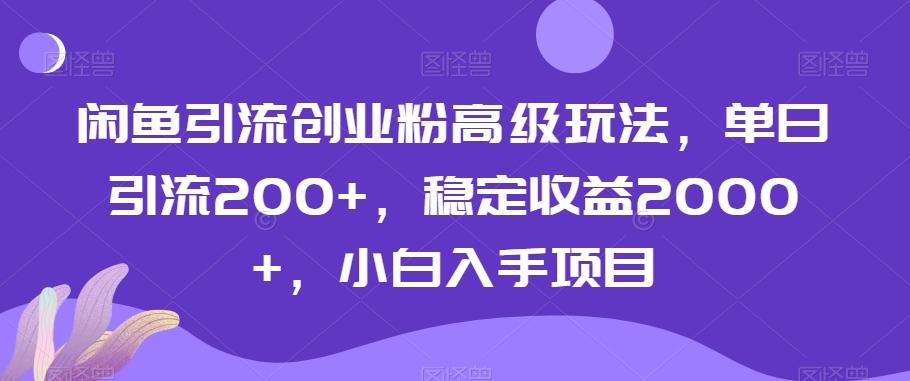 闲鱼引流创业粉高级玩法，单日引流200+，稳定收益2000+，小白入手项目-铜臭网