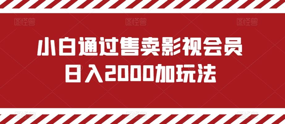 小白通过售卖影视会员日入2000加玩法-铜臭网