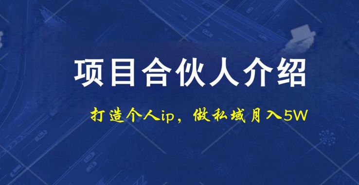 项目合伙人项目，打造个人IP，做私域月入5W，小白勿扰-铜臭网