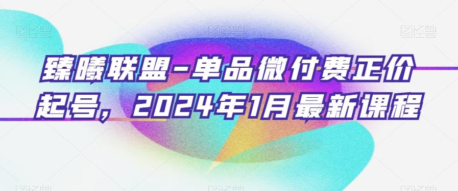 臻曦联盟-单品微付费正价起号，2024年1月最新课程-铜臭网