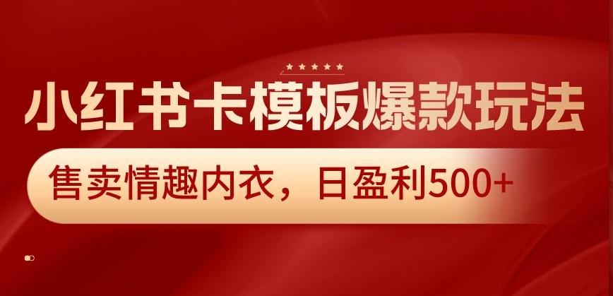 小红书卡模板爆款玩法，售卖情趣内衣，日盈利500+【揭秘】-铜臭网