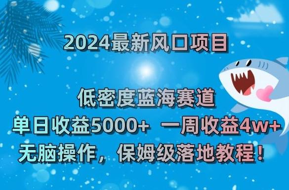 2024最新风口项目，低密度蓝海赛道，单日收益5000+，一周收益4w+！【揭秘】-铜臭网