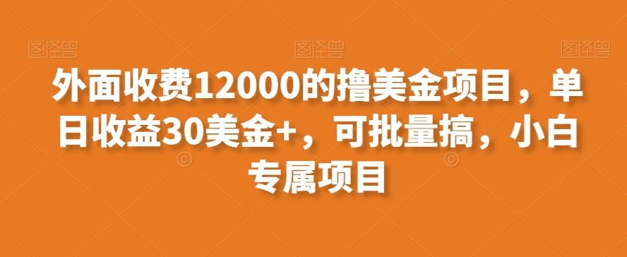 外面收费12000的撸美金项目，单日收益30美金+，可批量搞，小白专属项目-铜臭网