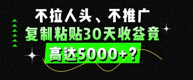 不拉人头、不推广，复制粘贴30天收益竟高达5000+？-铜臭网