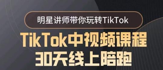TikTok中视频课程30天线上陪跑，明星讲师带你玩转TikTok-铜臭网