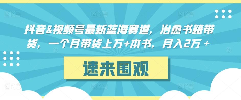 抖音&视频号最新蓝海赛道，治愈书籍带货，一个月带货上万+本书，月入2万＋【揭秘】-铜臭网