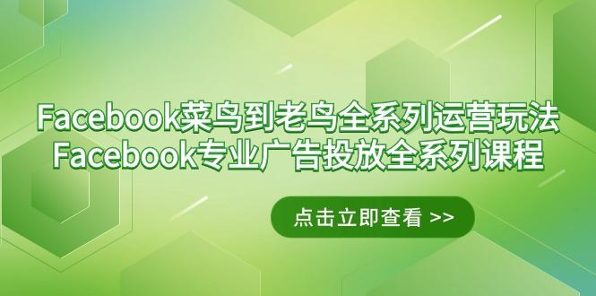 Facebook-菜鸟到老鸟全系列运营玩法+Facebook-专业广告投放全系列课程-铜臭网