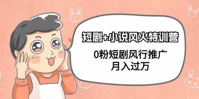 小说+短剧风火特训营，0粉短剧小说风行推广，实现月入过万-铜臭网