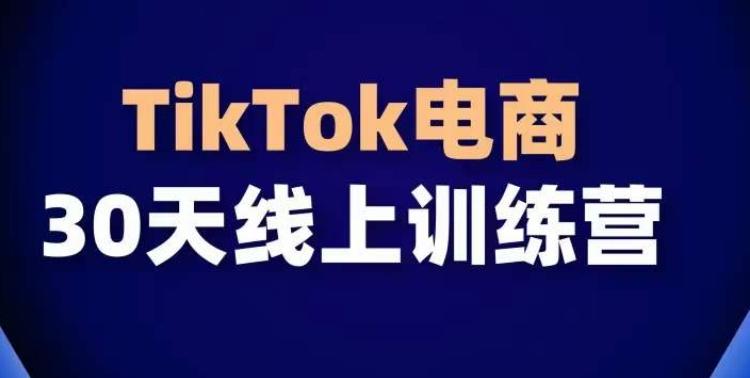 TikTok电商带货30天线上课,不可错过的全球流量洼地!-铜臭网