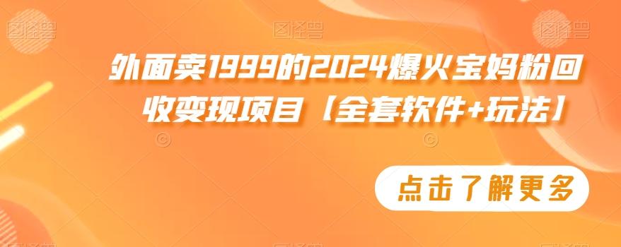 外面卖1999的2024爆火宝妈粉回收变现项目【全套软件+玩法】【揭秘】-铜臭网