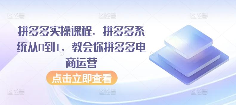 拼多多实操课程，拼多多系统从0到1，教会你拼多多电商运营-铜臭网