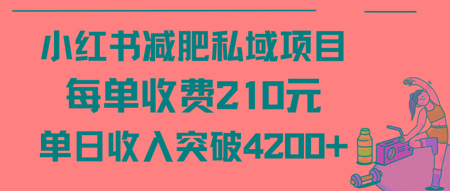 (9466期)小红书减肥私域项目每单收费210元单日成交20单，最高日入4200+-铜臭网
