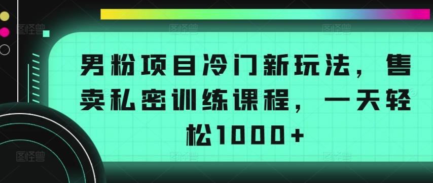 男粉项目冷门新玩法，售卖私密训练课程，一天轻松1000+【揭秘】-铜臭网