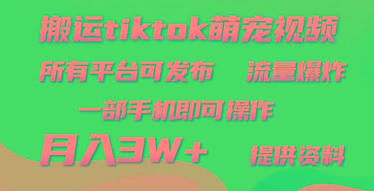 (9618期)搬运Tiktok萌宠类视频，一部手机即可。所有短视频平台均可操作，月入3W+-铜臭网