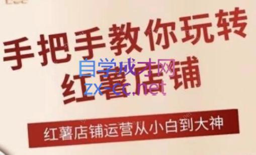 海燕老师·2024手把手教你玩转红薯店铺-铜臭网