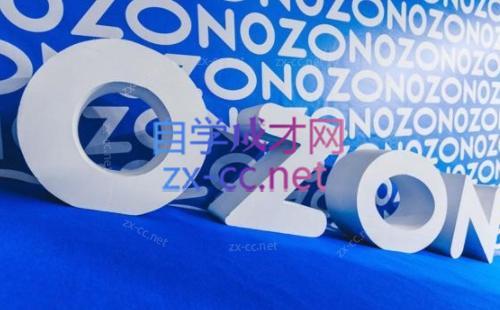 森哥·出海俄罗斯电商实操(2024)-铜臭网