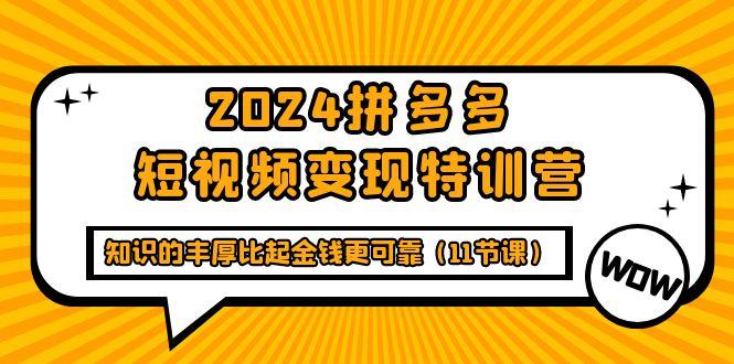 (9817期)2024拼多多短视频变现特训营，知识的丰厚比起金钱更可靠(11节课)-铜臭网