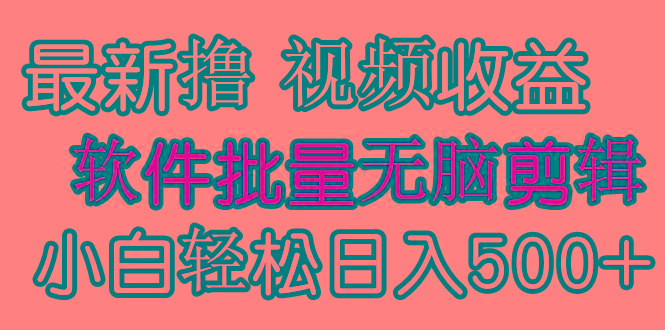 (9569期)发视频撸收益，软件无脑批量剪辑，第一天发第二天就有钱-铜臭网